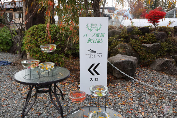 photo8 ハーブ庭園